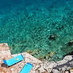 Porphyra